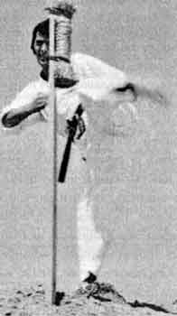И. Йорга, тренировка на макиваре техники маваси гери на природе. Белая скала, Панчево, 1968 г.