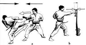 Рис 10: Упругое столкновение в поединке (a) или тренировке на макиваре (b)